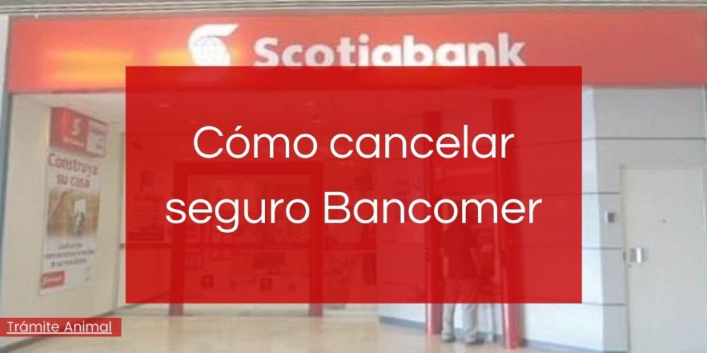 Como Cancelar Seguro de BBVA Bancomer en Mexico